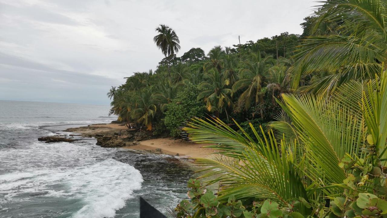 Cabinas Mitchaelle'S Puerto Viejo de Talamanca Exteriör bild