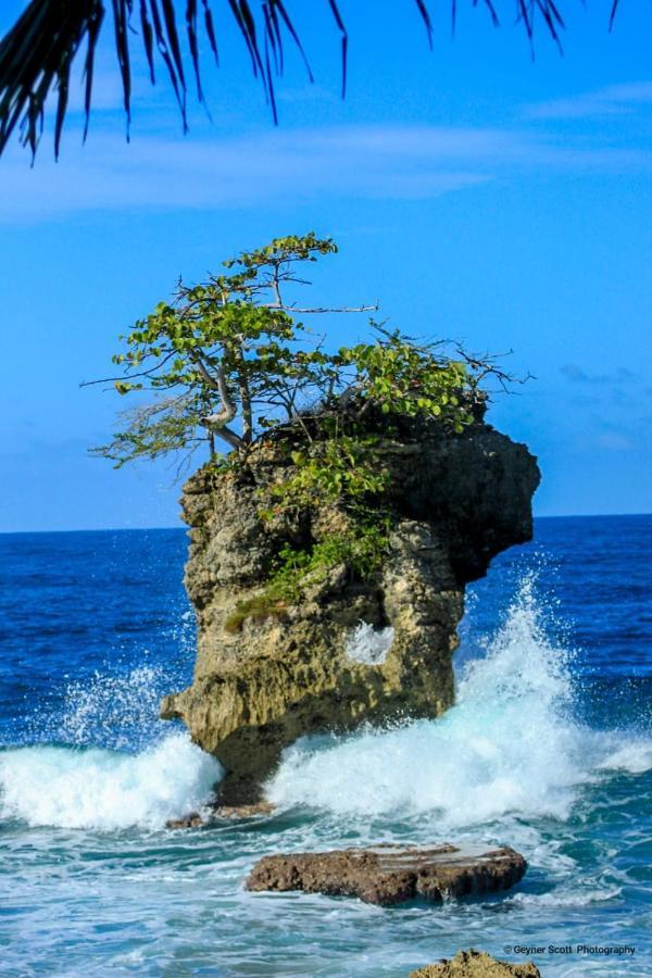 Cabinas Mitchaelle'S Puerto Viejo de Talamanca Exteriör bild